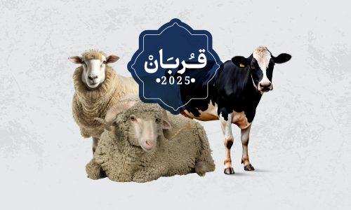 Qurban 2025